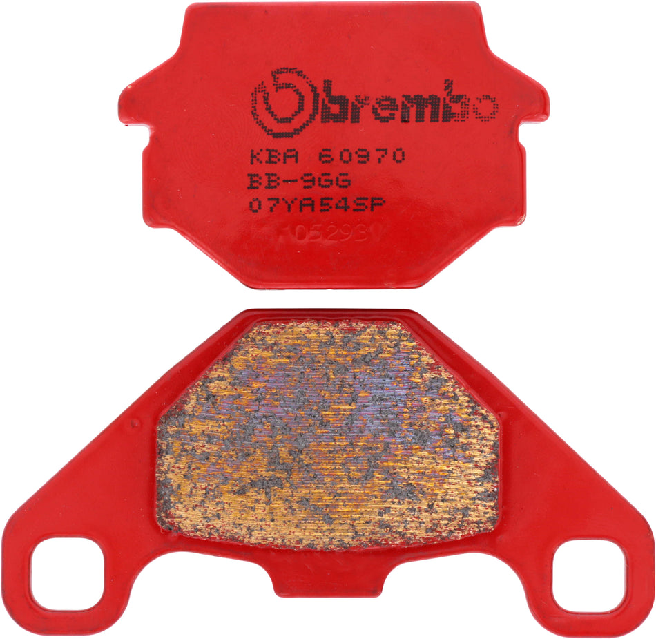 Brembo PRIME SP Sintered Brake Pads KTM/Kawasaki | 07YA54SP