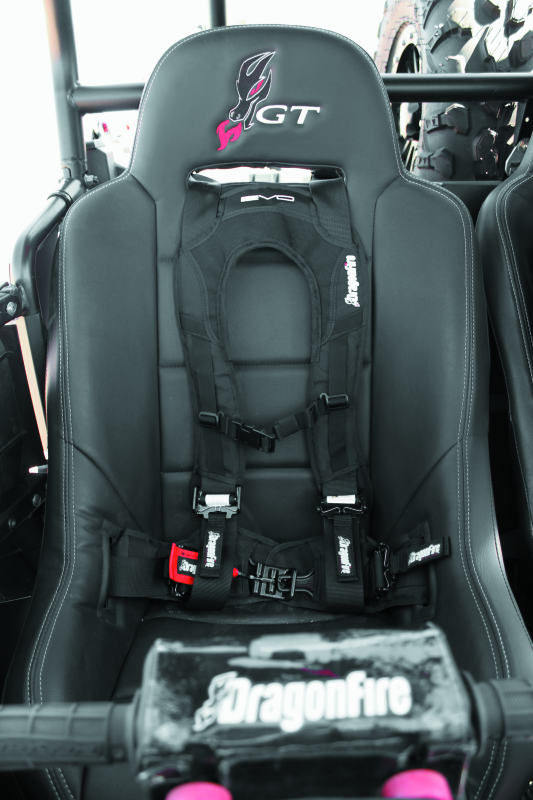 Dragonfire Evo Harness