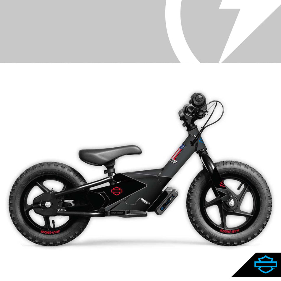 Stacyc H-D #1 Graphics Kit