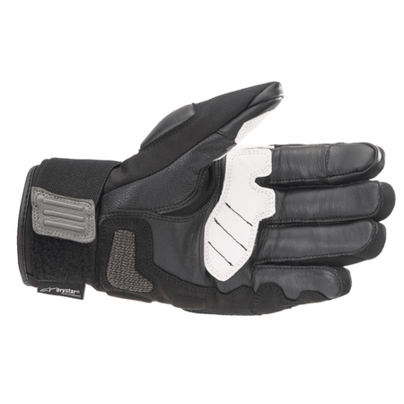 Alpinestars Corozal V2 Drystar ADV/Dualsport Gloves - MojoMotoSport.com