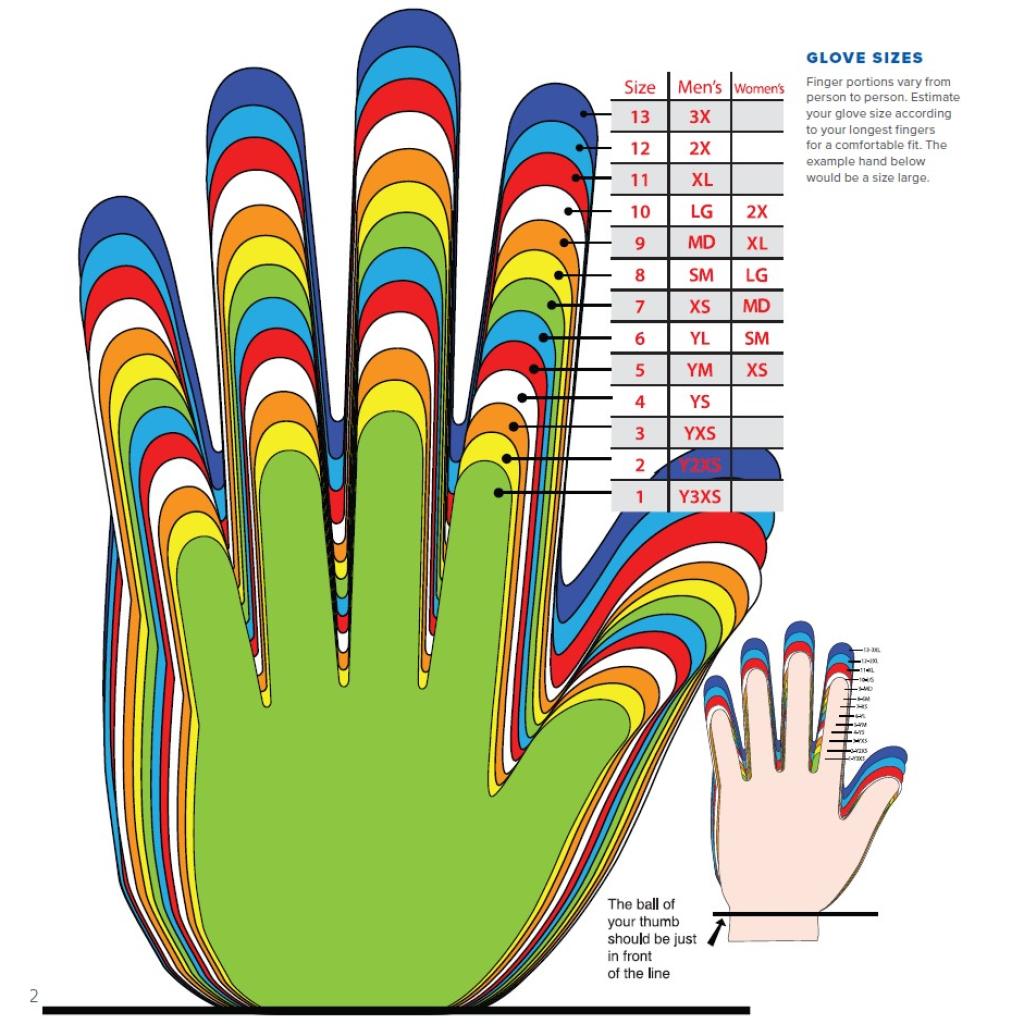 Fly Racing F - 16 Women's Gloves 2025 - MojoMotoSport.com