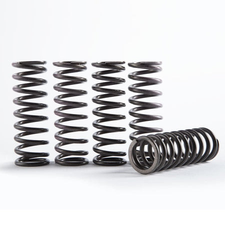 Hinson 5pc Hi - Temp Clutch Spring | CS641 - 5 - 1901 - MojoMotoSport.com