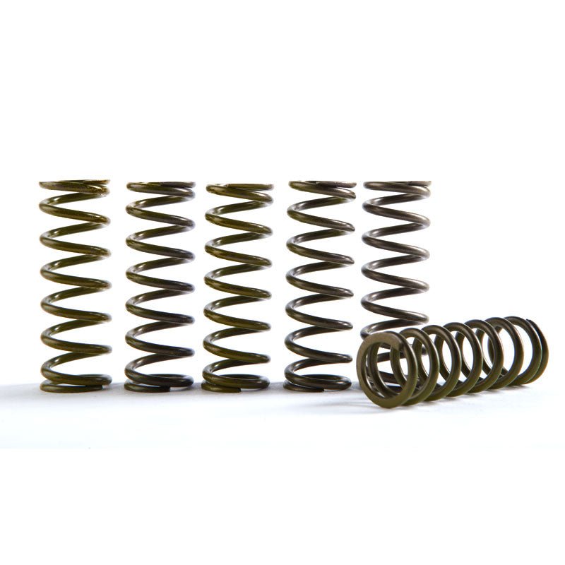Hinson 6pc Hi - Temp Clutch Springs | CS216 - 6 - 0315 - MojoMotoSport.com