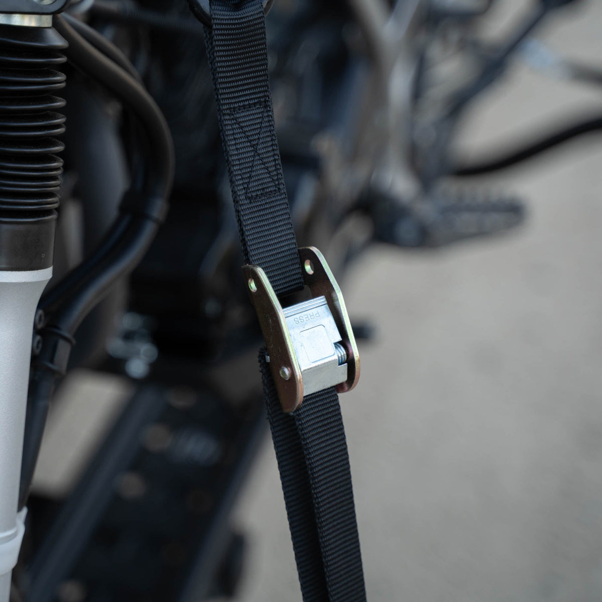 MotoTote SafeLoop Cam Buckle Tie Downs | TDCAM - MojoMotoSport.com