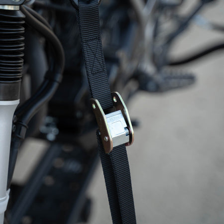 MotoTote SafeLoop Cam Buckle Tie Downs | TDCAM - MojoMotoSport.com