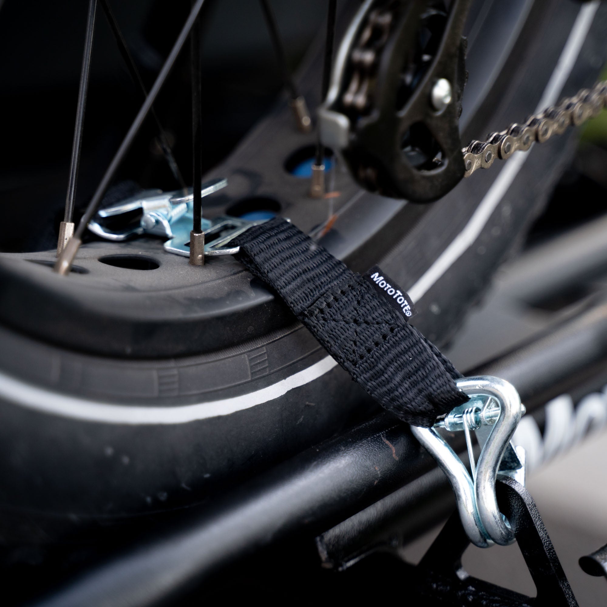 MotoTote TireBelt Tie Down | TDBELT - MojoMotoSport.com