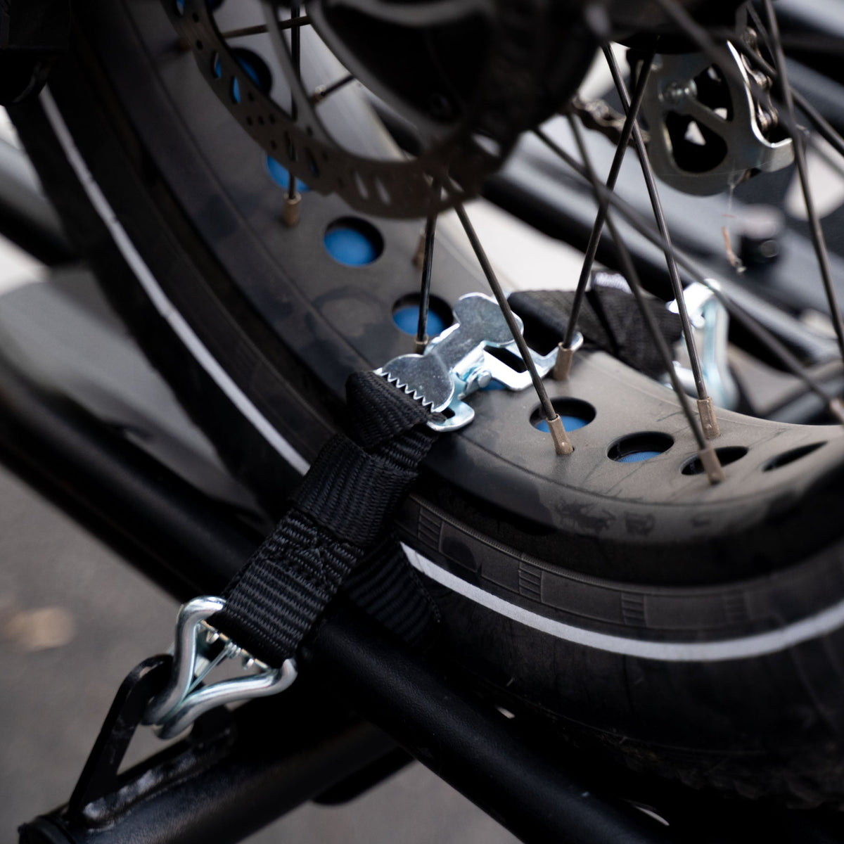 MotoTote TireBelt Tie Down | TDBELT - MojoMotoSport.com