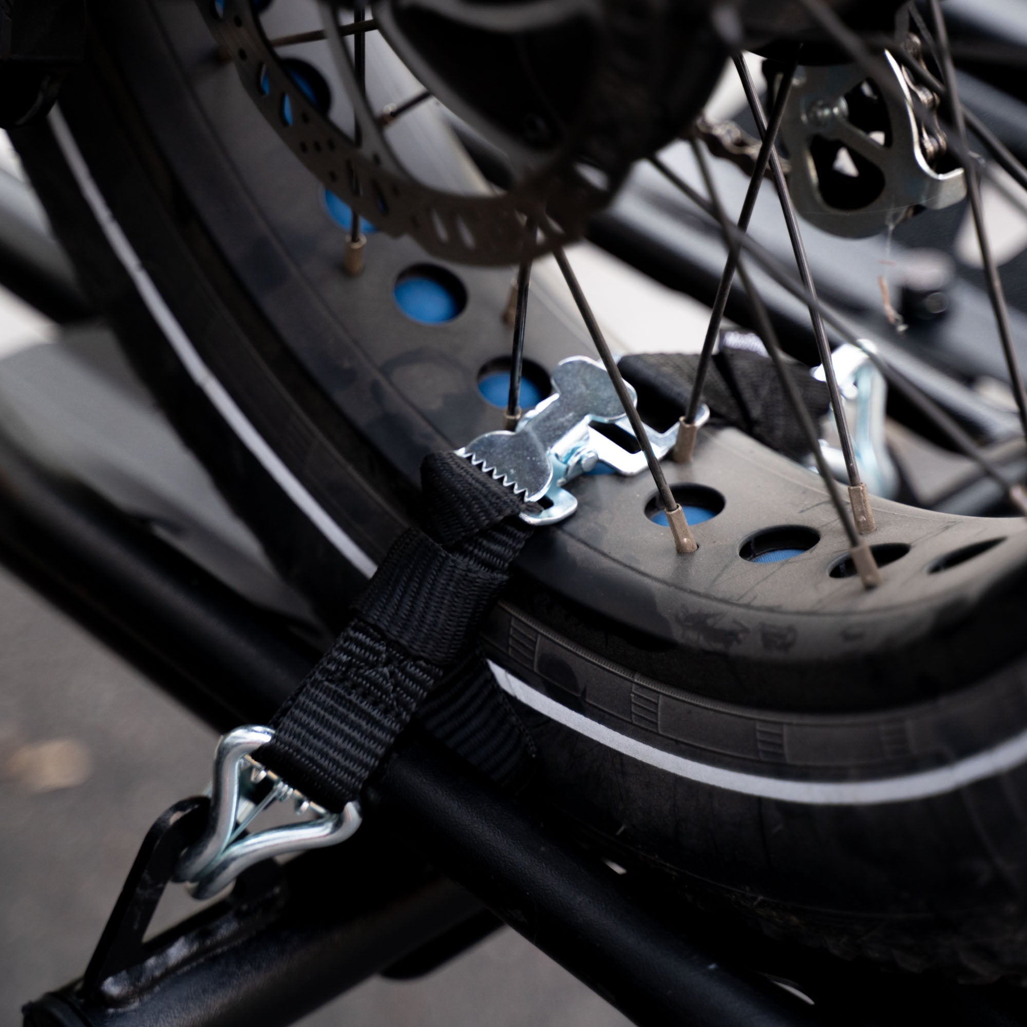 MotoTote TireBelt Tie Down | TDBELT - MojoMotoSport.com