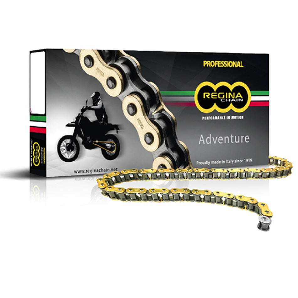 Regina ZRE Z-Ring Adventure 525 Gold Chain