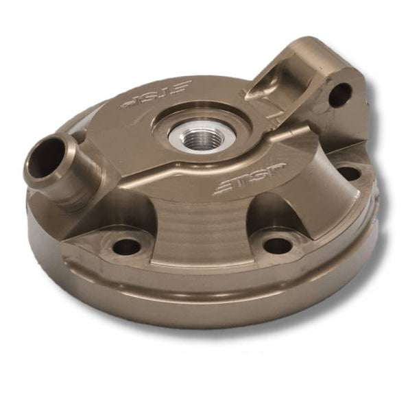 TSP CNC Head Beta 2022+ RR/Race & 2025+ X-PRO 300cc Models