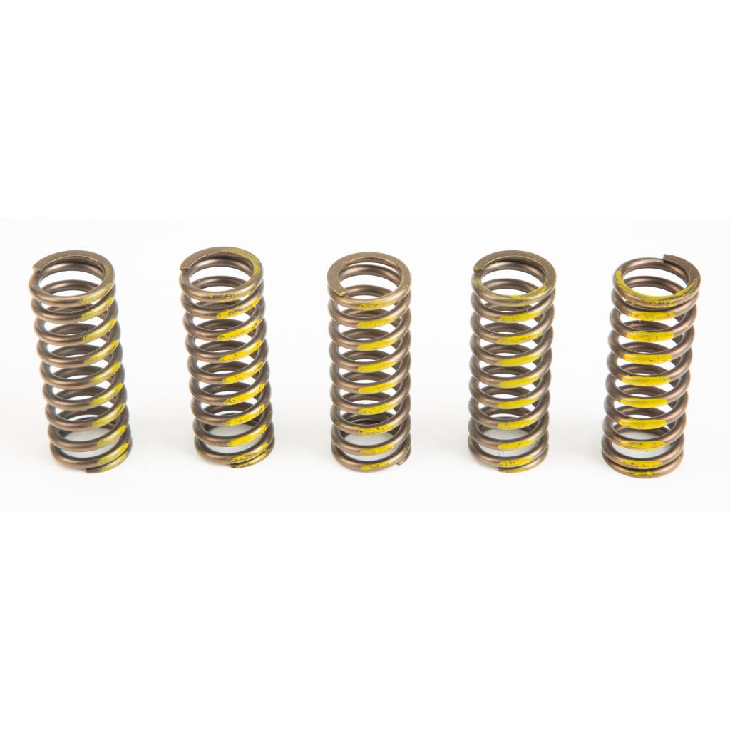 Pro Circuit High Performance Clutch Springs | CSS07250