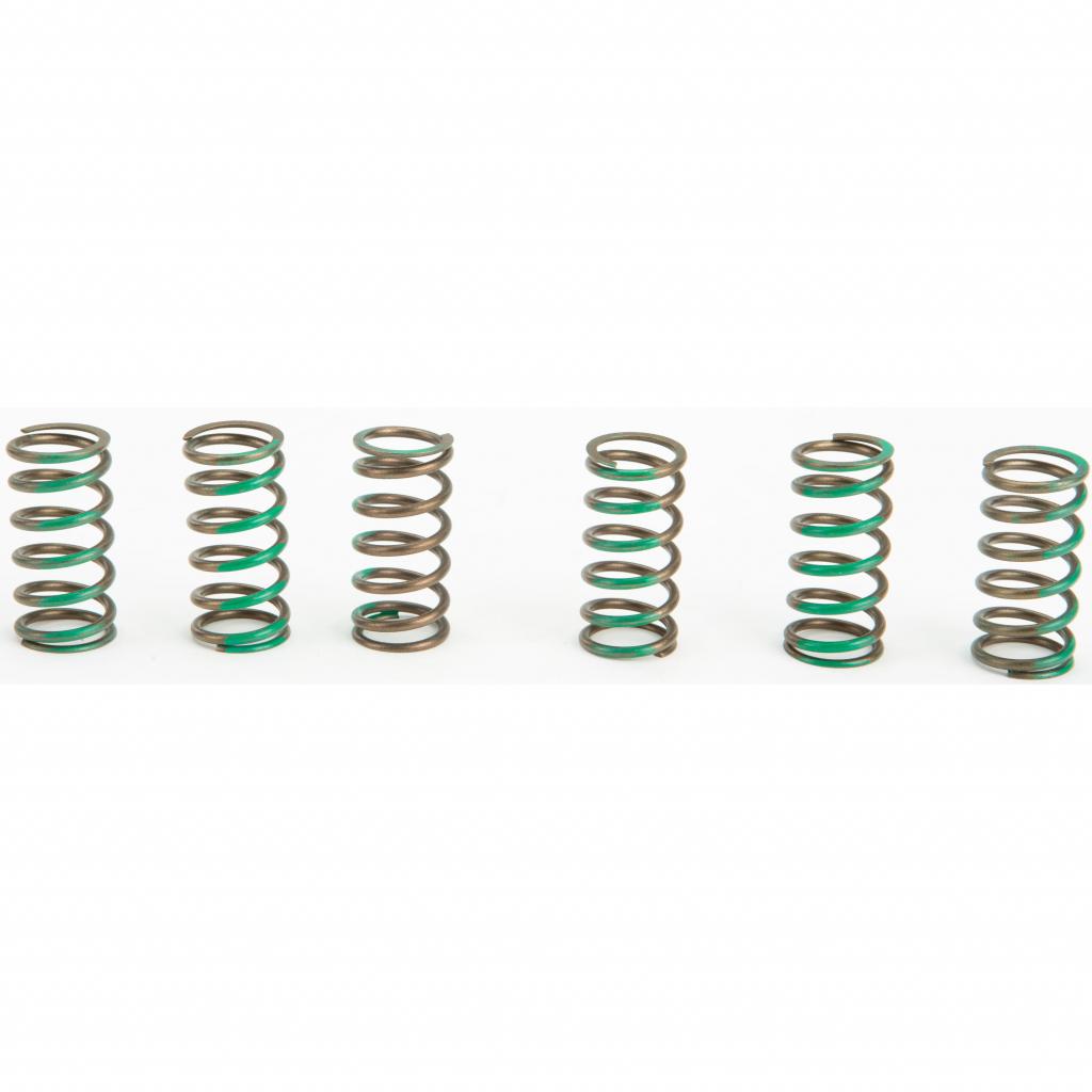 Pro Circuit High Performance Clutch Springs | CSK09065