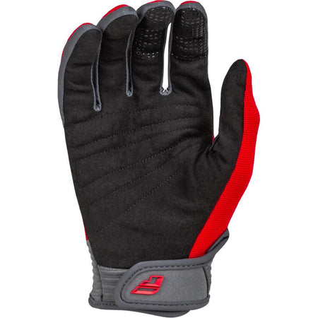 Fly Racing F - 16 Gloves 2024 - MojoMotoSport.com
