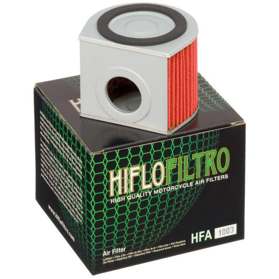 Hiflo Air Filter | HFA1003 - MojoMotoSport.com