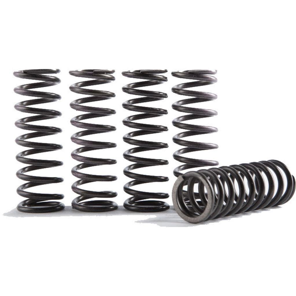Hinson 5pc Hi - Temp Clutch Springs | CS216 - 5 - 0315 - MojoMotoSport.com