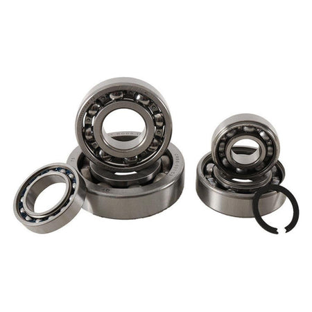 Hot Rods Transmission Bearing Kit | TBK0112 - MojoMotoSport.com