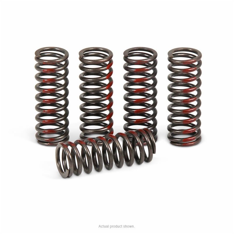 Pro Circuit High Performance Clutch Springs 2010 - 17 Honda CRF250R | CSH10250 - CS - MojoMotoSport.com