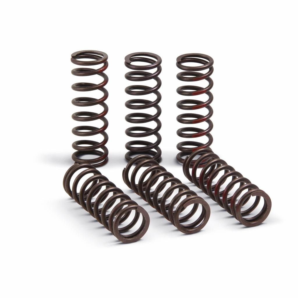Pro Circuit High Performance Clutch Springs 2021 Honda CRF450R | CSH21450 - CS - MojoMotoSport.com