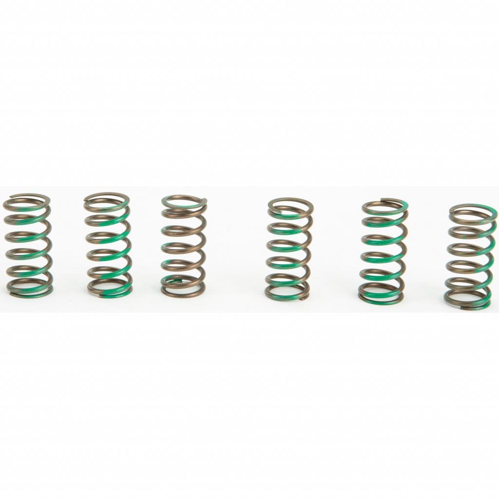 Pro Circuit High Performance Clutch Springs | CSK09065 - MojoMotoSport.com